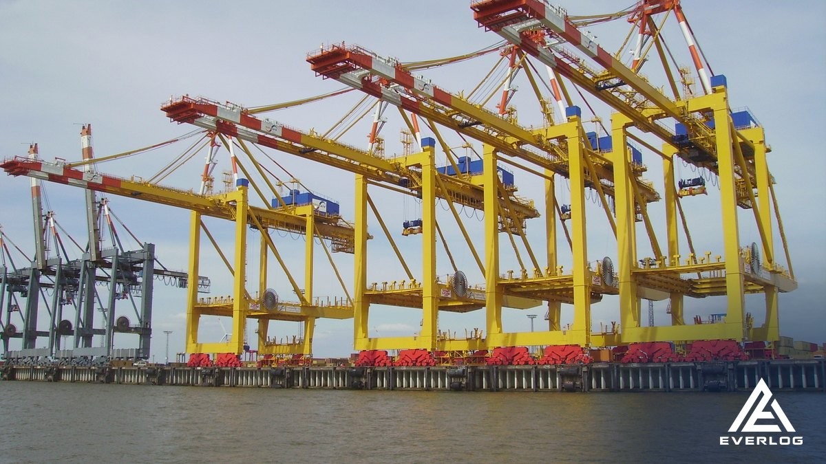 Cẩu bờ bốc xếp container tại cảng biển – Một đầu mối canh cut-off, free time và hạn trả rỗng tại Cát Lái, Cái Mép
