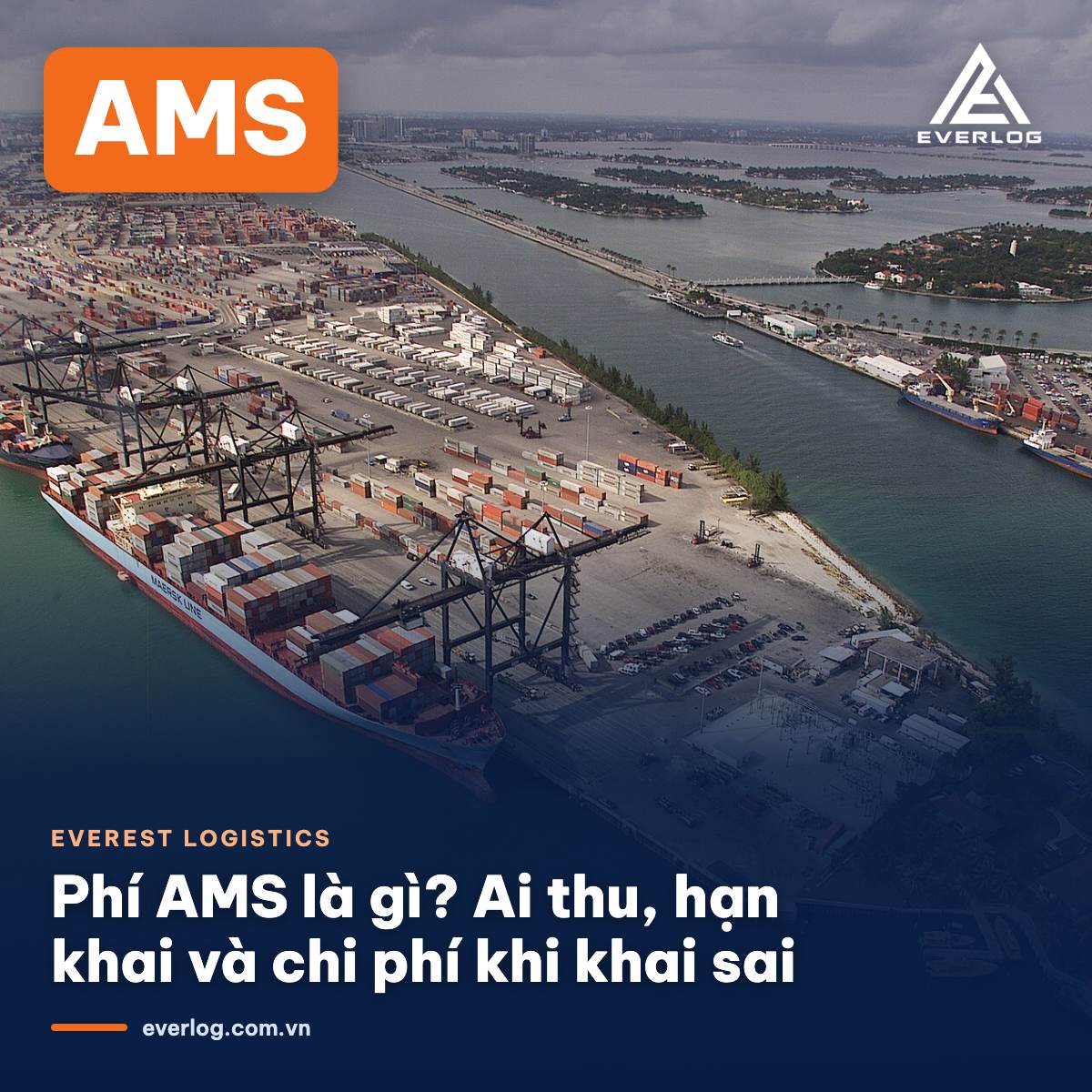 Phí AMS là gì? Ai thu, hạn khai và cách tránh phí phát sinh khi xuất hàng đi Mỹ