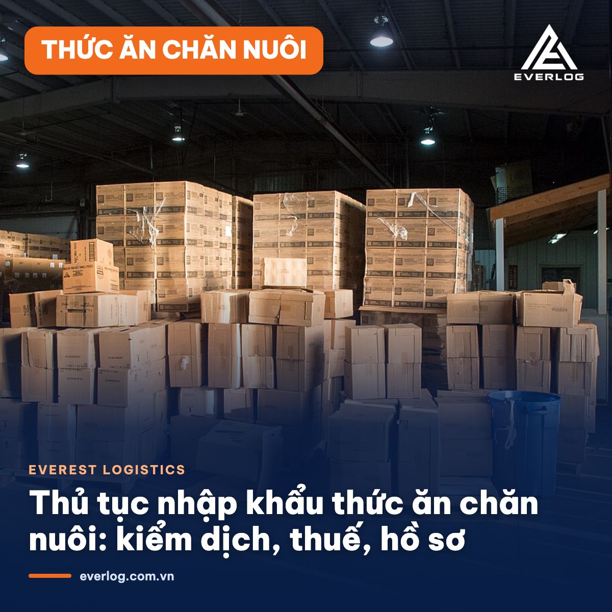 thủ tục nhập khẩu thức ăn chăn nuôi